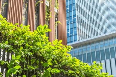 5 Things Architects Can Do To Help With Climate Change 5 Things Architects Can Do To Help With Climate Change