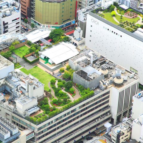 New Trend in Roofing: Green Roofs